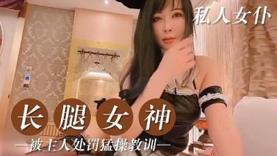 私人的美腿女仆海报剧照